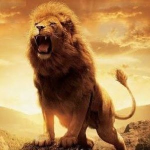 Meet your Posher, Erick